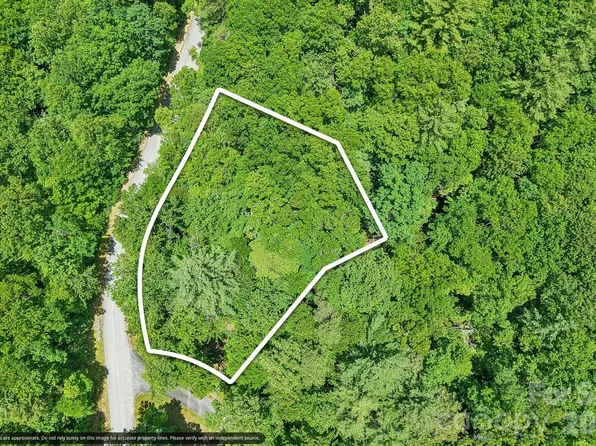 11 Magnolia Branch Dr, Zirconia, NC 28790