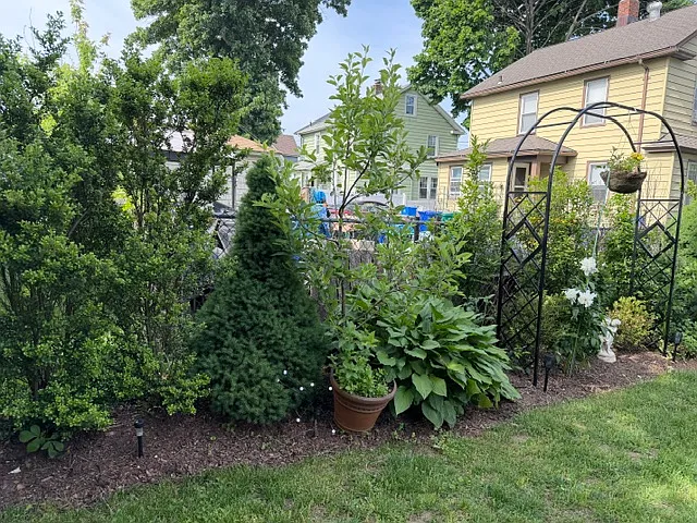 125 Oakland St #3 — Photo 6
