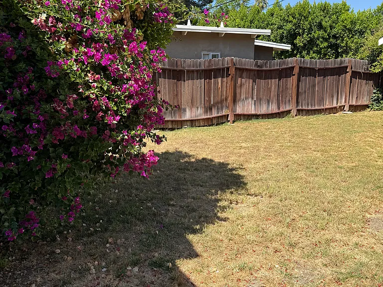 22523 Dolorosa St — Photo 25
