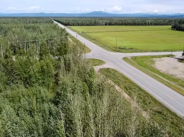 Nhn Clearwater Rd, Delta Junction, AK 99737