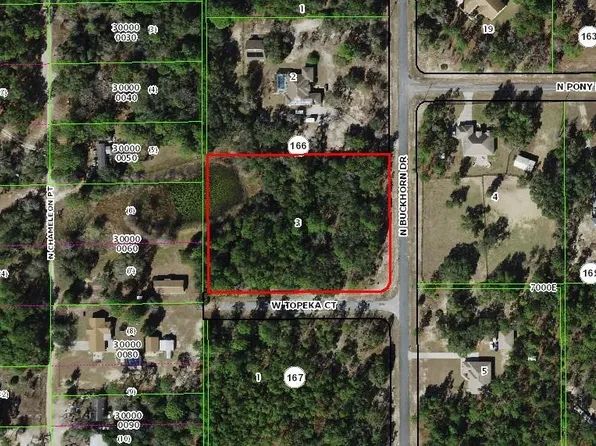 3368 N Buckhorn Dr, Beverly Hills, FL 34465