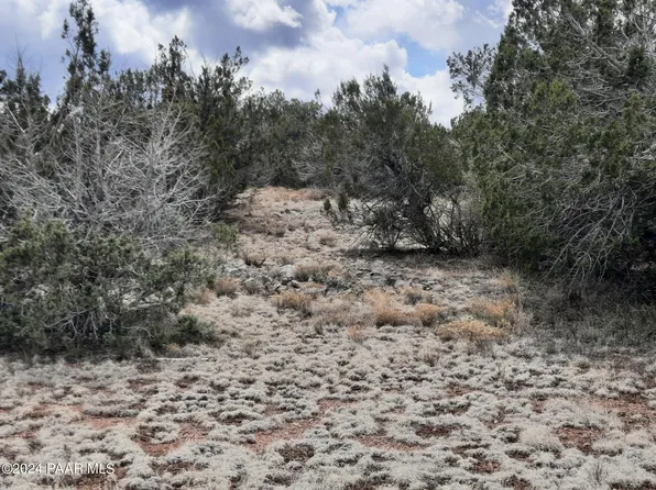 52166 N Sierra Ln, Seligman, AZ 86337