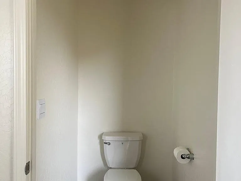 Master bathroom - View 4- Toilet