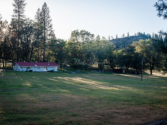Home nestled in the trees