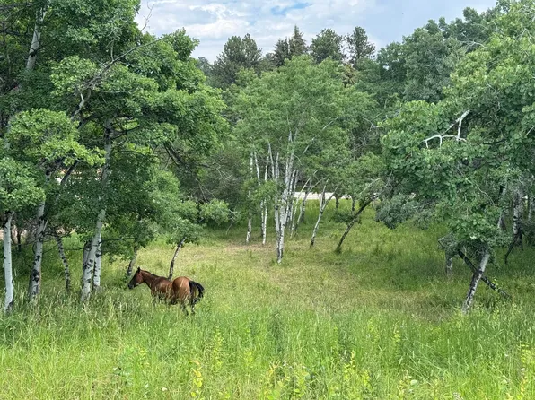 Mountain Home Rd, Story, WY 82842