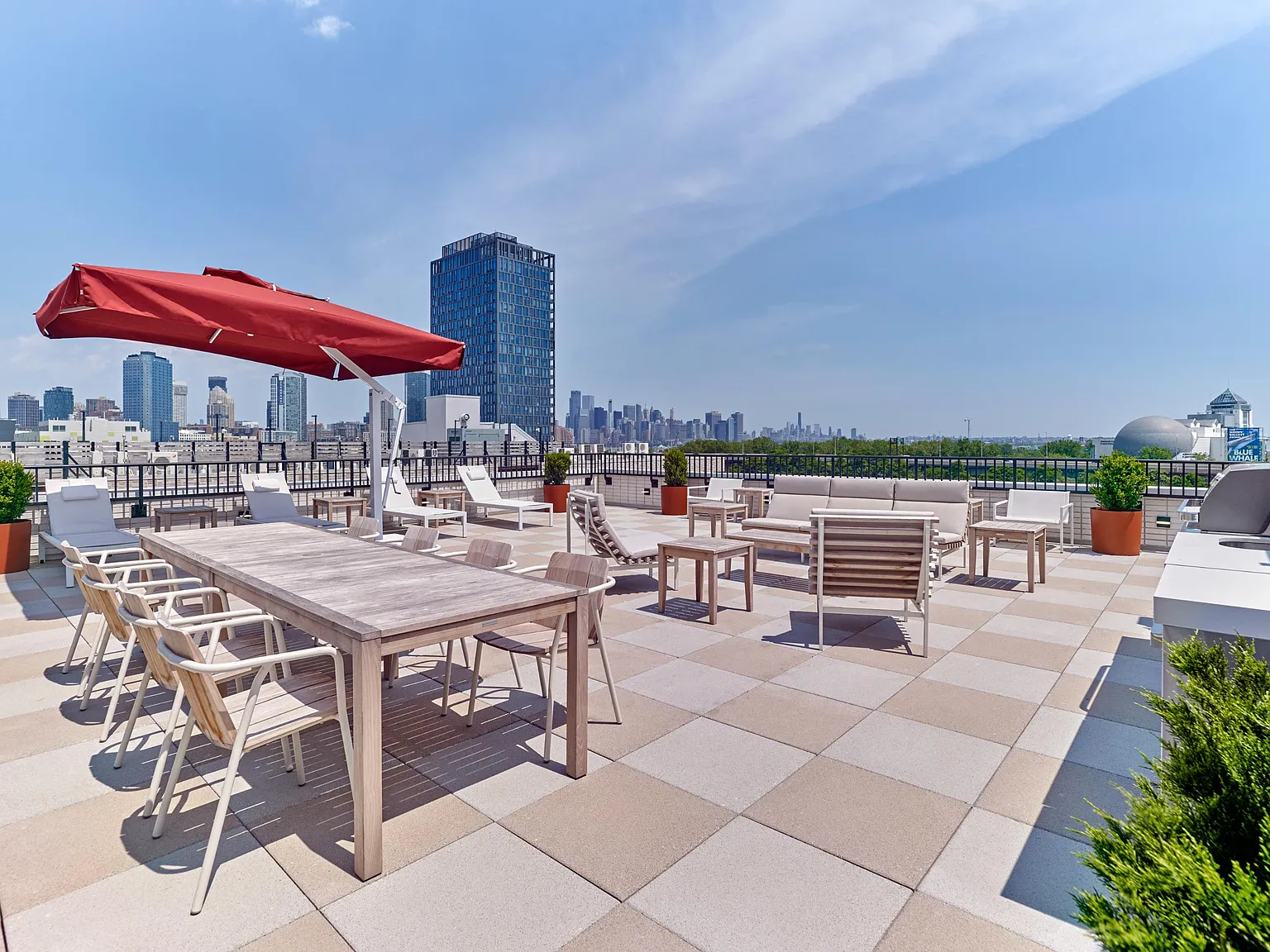 Starling — Photo 3