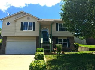 175 Blossom Valley, Branson, MO 65616