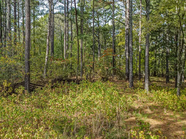 102 Greene 716 Rd, Paragould, AR 72450