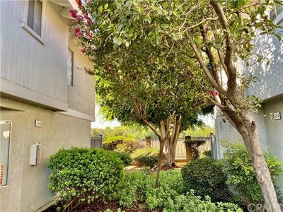 330 Lemon Grv, Irvine, CA, 92618