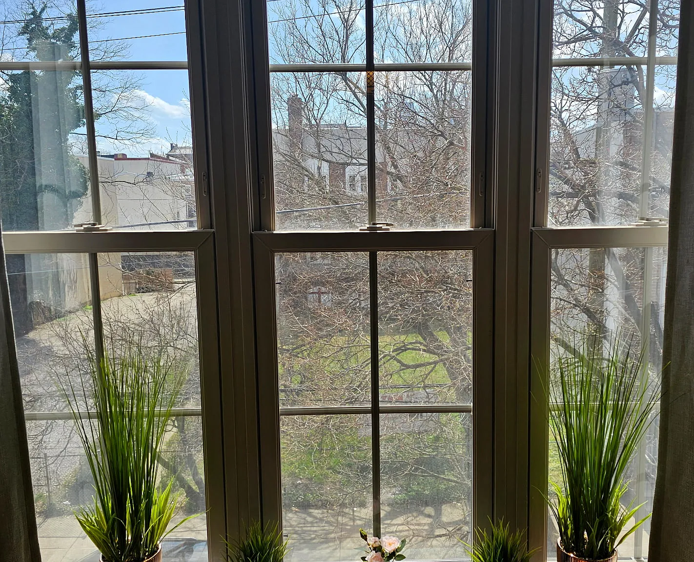 1 bed, 275 sqft, $798 — Photo 3