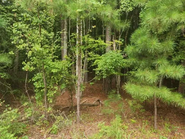 131 Sequoia Dr #2314, Louisburg, NC 27549