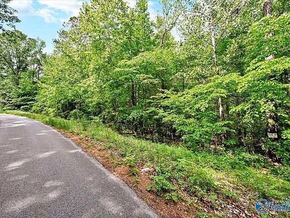 3rd image of LOT 10 Mill Creek Rd