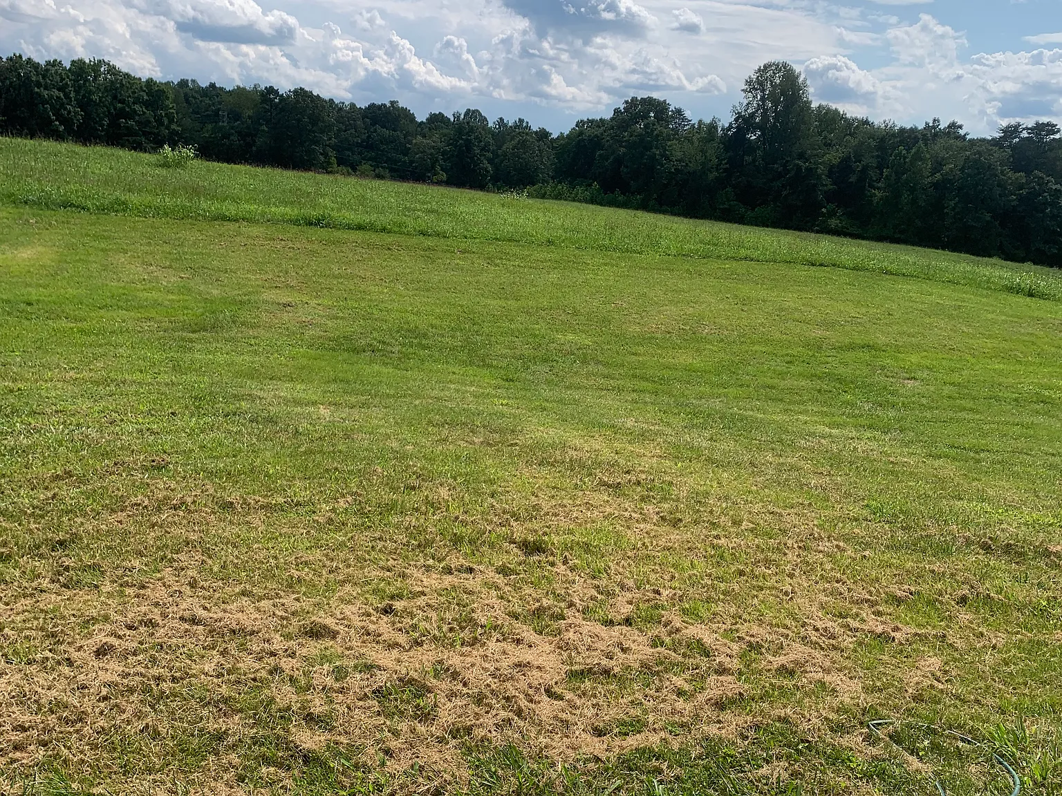 3 bed, 1000 sqft, $1,300 — Photo 4