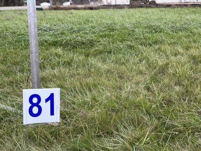 2117 Pleasant Dr, Prescott, WI, 54021