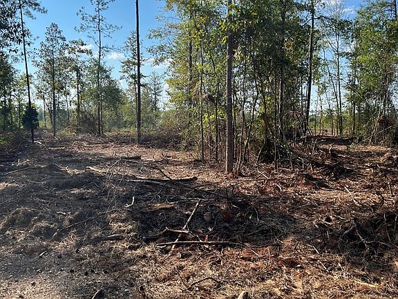 5th image of (Undisclosed Address)