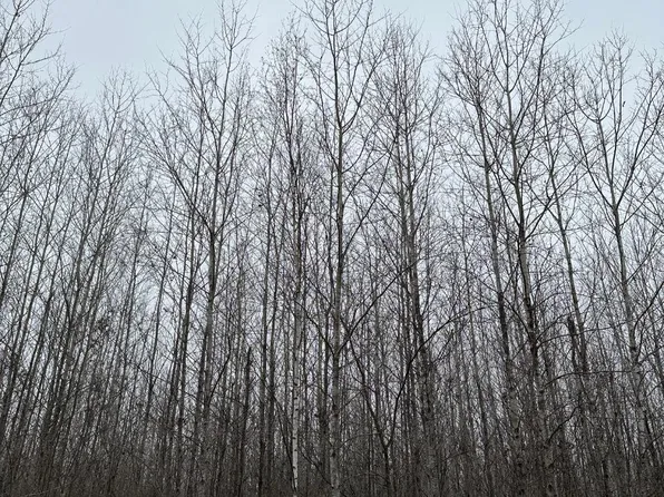 Burrows Lake Rd #4067-I, Tomahawk, WI 54487