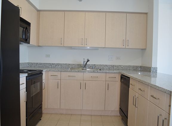 5th image of 512 N McClurg Ct APT 2909