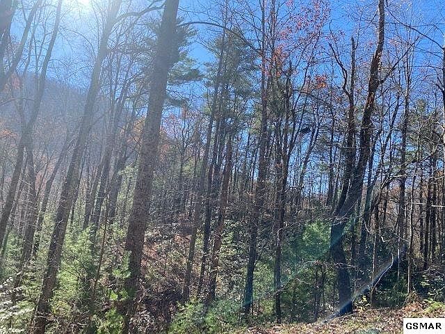 1st image of LOT 51 Wintergreen Dr
