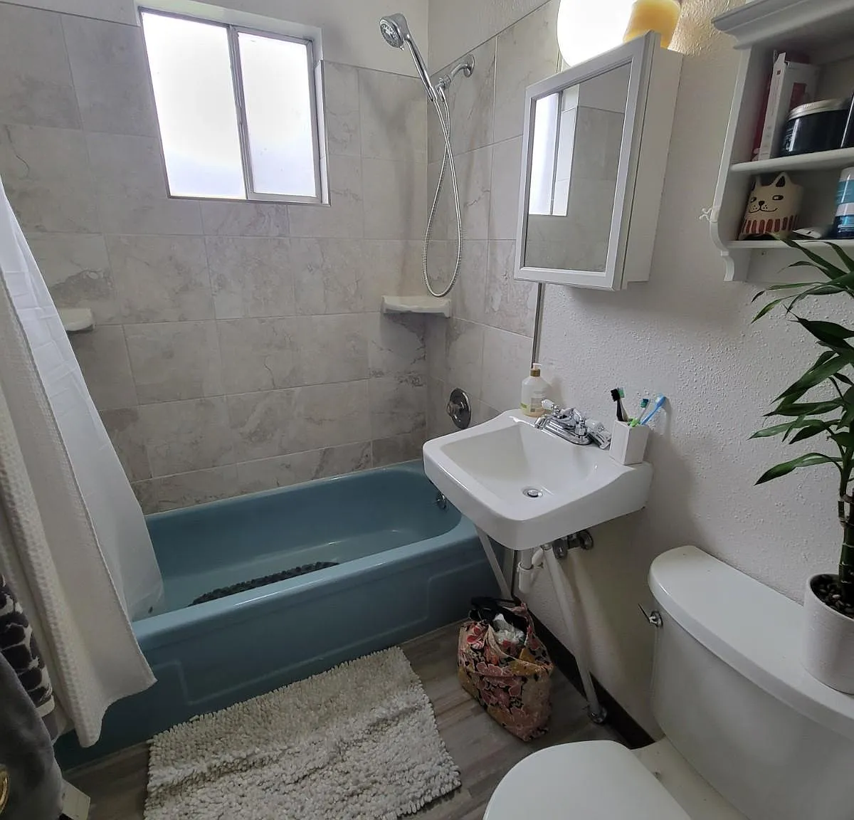 1 bed, 550 sqft, $1,100 — Photo 4