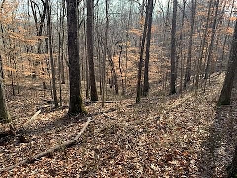 4th image of 323 William Falls Dr