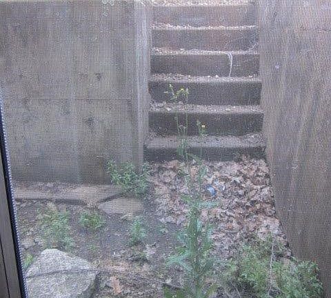 3rd image of 315 Missouri Ave