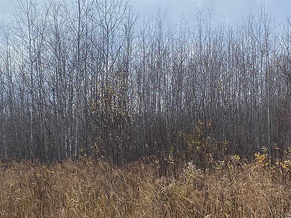 5th image of Near Timber Road