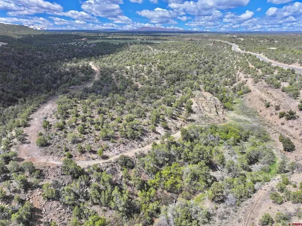 TBD (Tract 4) CR 1, Montrose, CO 81403