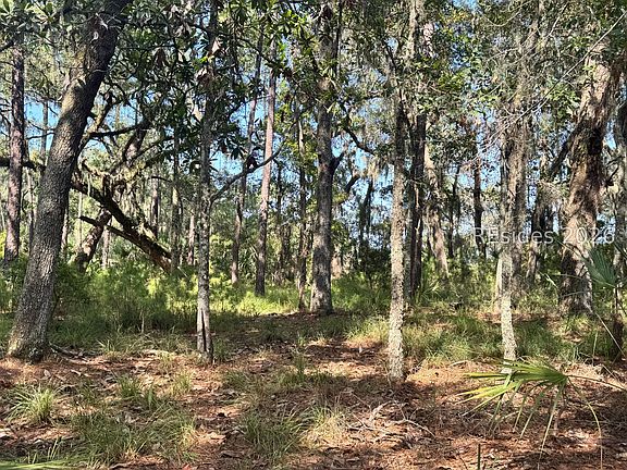 4th image of 7 N Point Trail
