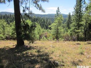 5691 Wildrose Dr, Grizzly Flats, CA