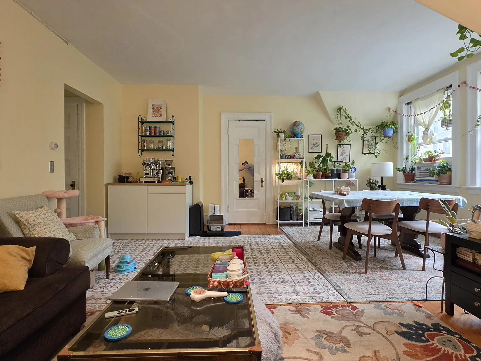 3 bed, 1.5 bath, 9999 sqft, $3,550 — Photo 3