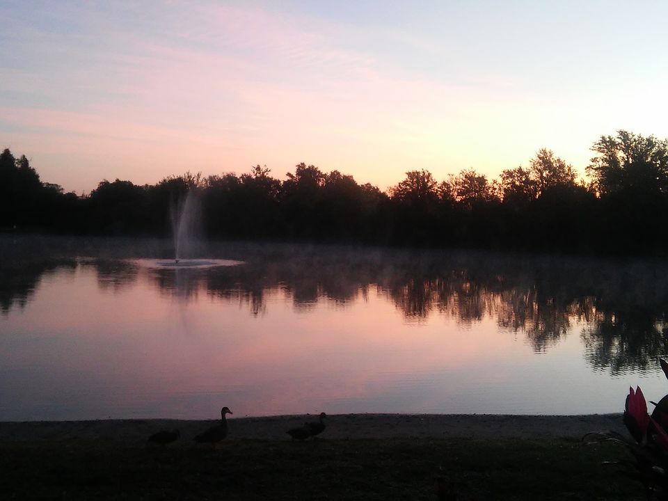 Beautiful lakeside morning