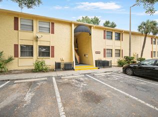 7639 Dolonita Dr, Tampa, FL 33615