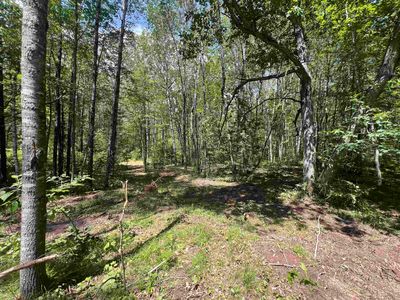 Reynolds Rd #2, Wausaukee, WI, 54177