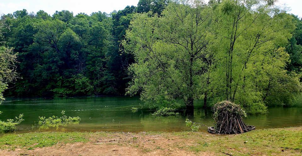 2nd image of 901 Timber Lake Cir