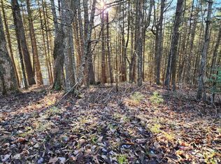 12 Laurelwood Ln, Mountain City, TN 37683