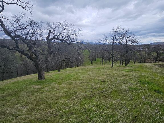 2nd image of 2275 Buena Vista Dr