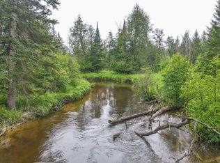 3304 Bear Paw Rdg, Indian River, MI 49749