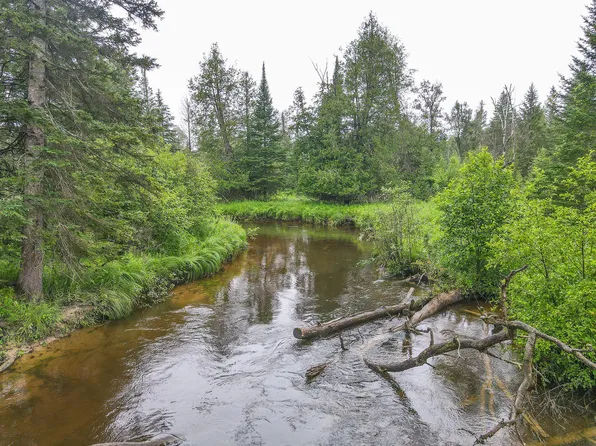 3304 Bear Paw Rdg, Indian River, MI 49749