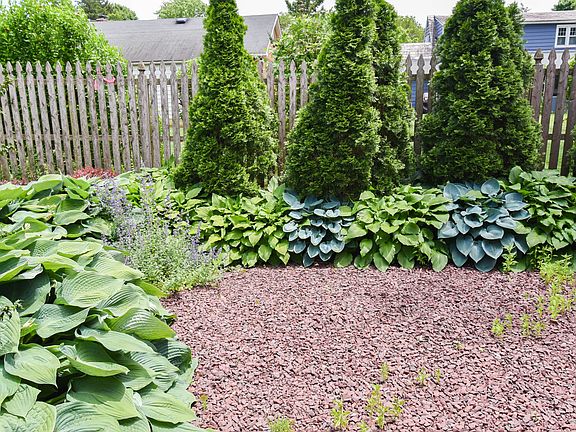 Landscaped side yard