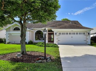 7360 Clearmeadow Dr, Spring Hill, FL 34606