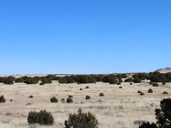 13 County Road 8006, Concho, AZ 85924