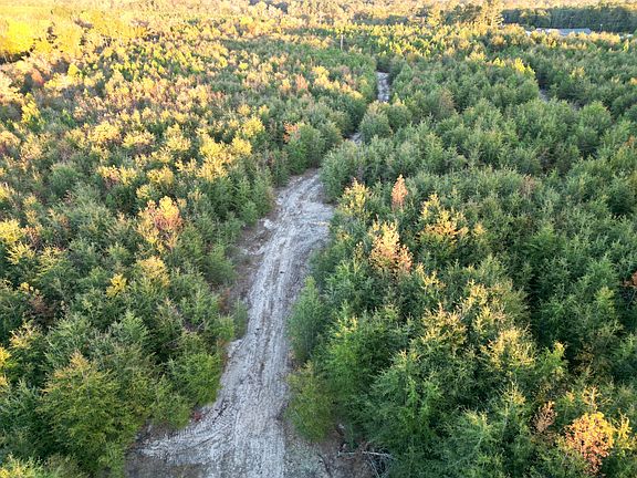 4th image of 3021 Salley Rd