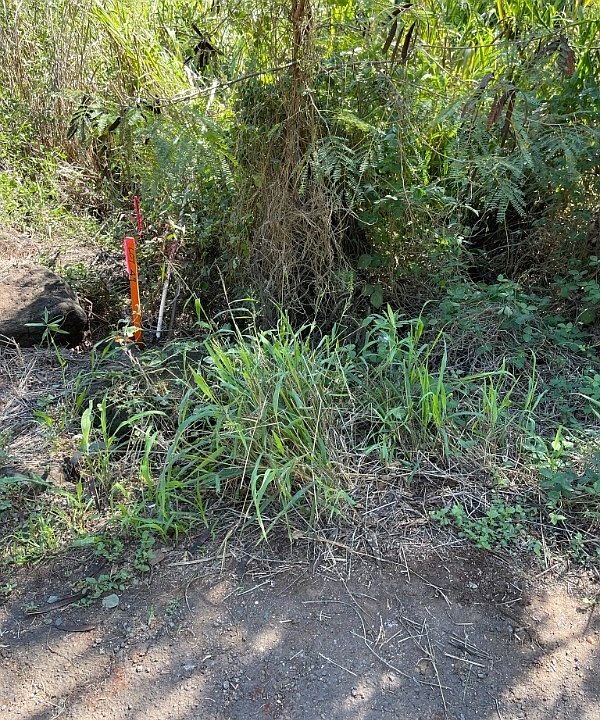 2nd image of Menehune Rd Lot 49