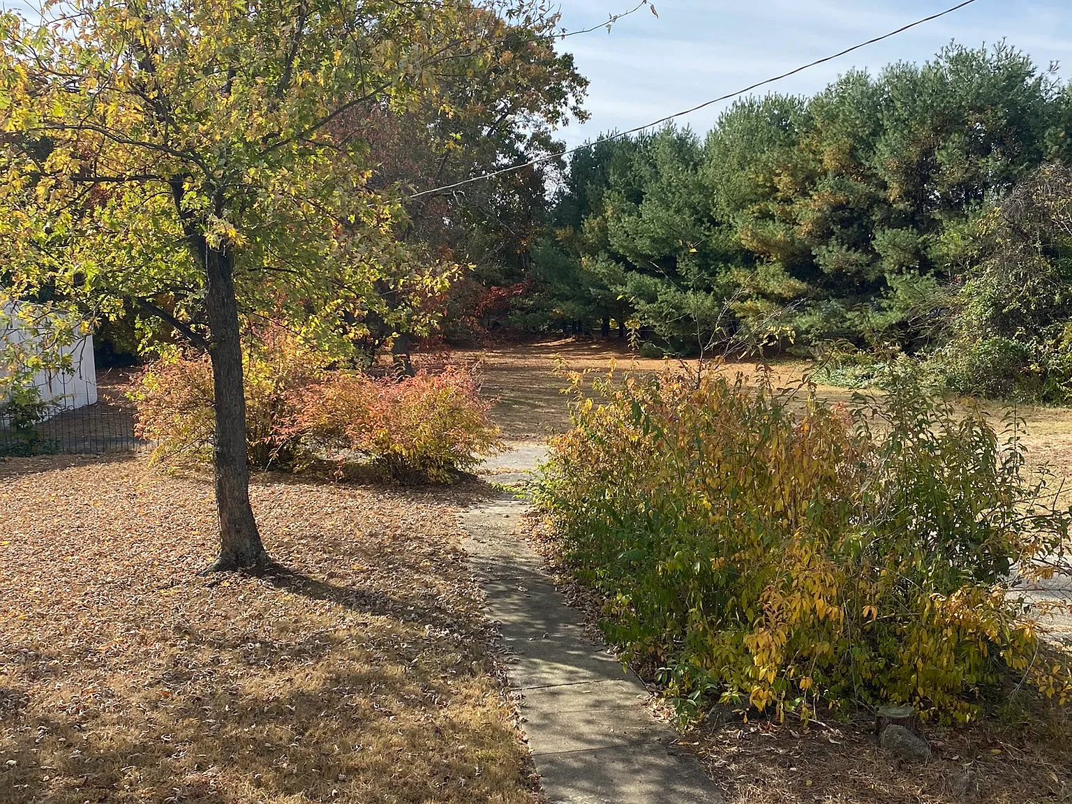 3 bed, 1167 sqft, $2,200 — Photo 2