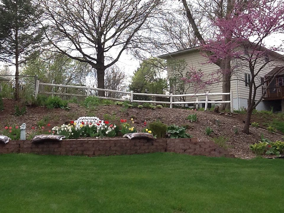 Beautiful park like yard