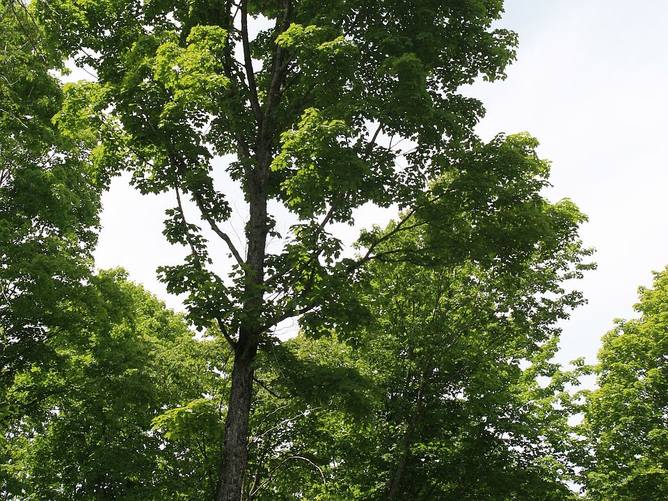 2nd image of Tbd Skyline Road Tract