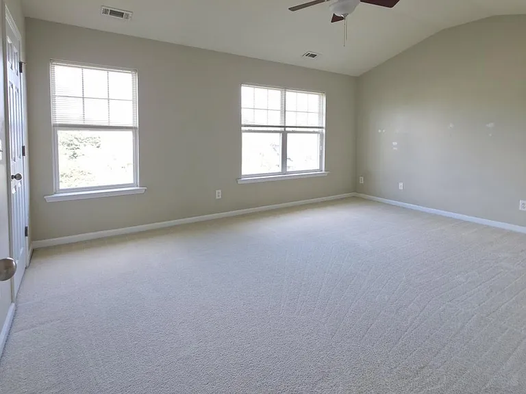 294 Linden Park Ln — Photo 12