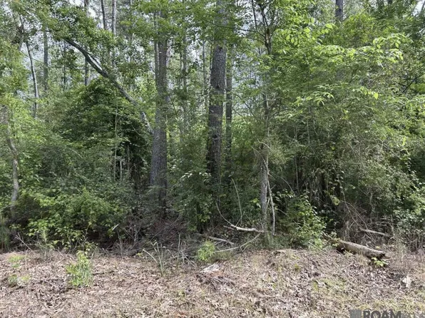 Tbd Church Of God Rd, Springfield, LA 70462