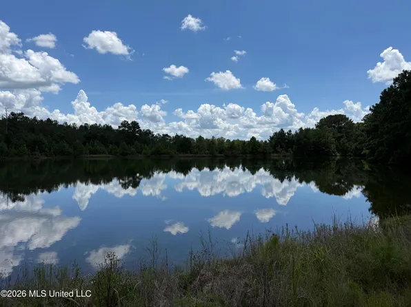2895 Silver Run Rd, Poplarville, MS 39470