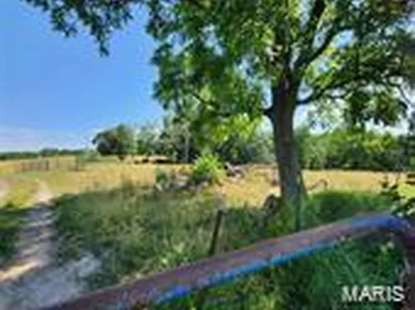 11 Phelan Rd, Pacific, MO 63069